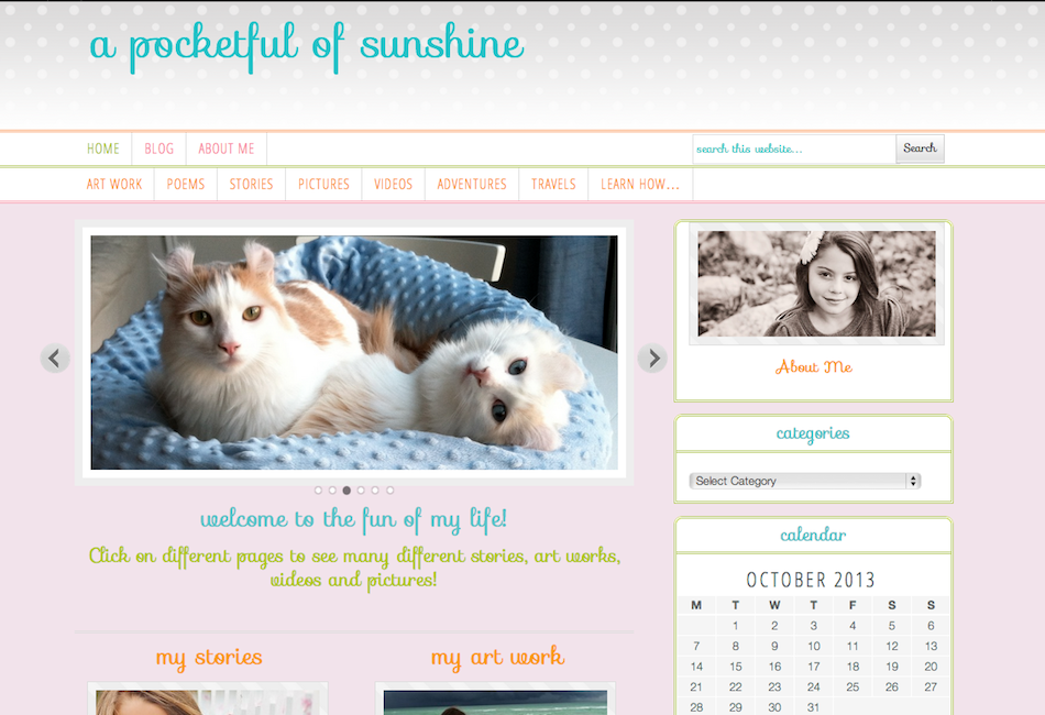 Personal blog website design